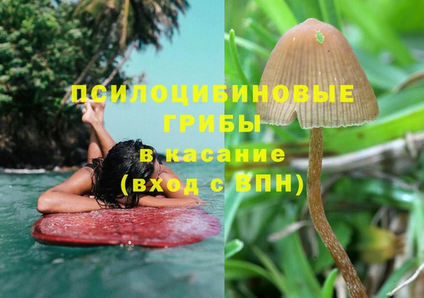 дмт Богданович